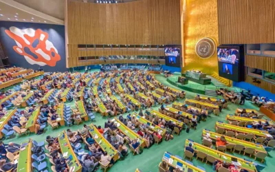 ONU elenca cinco elementos sobre o papel das cooperativas no desenvolvimento social